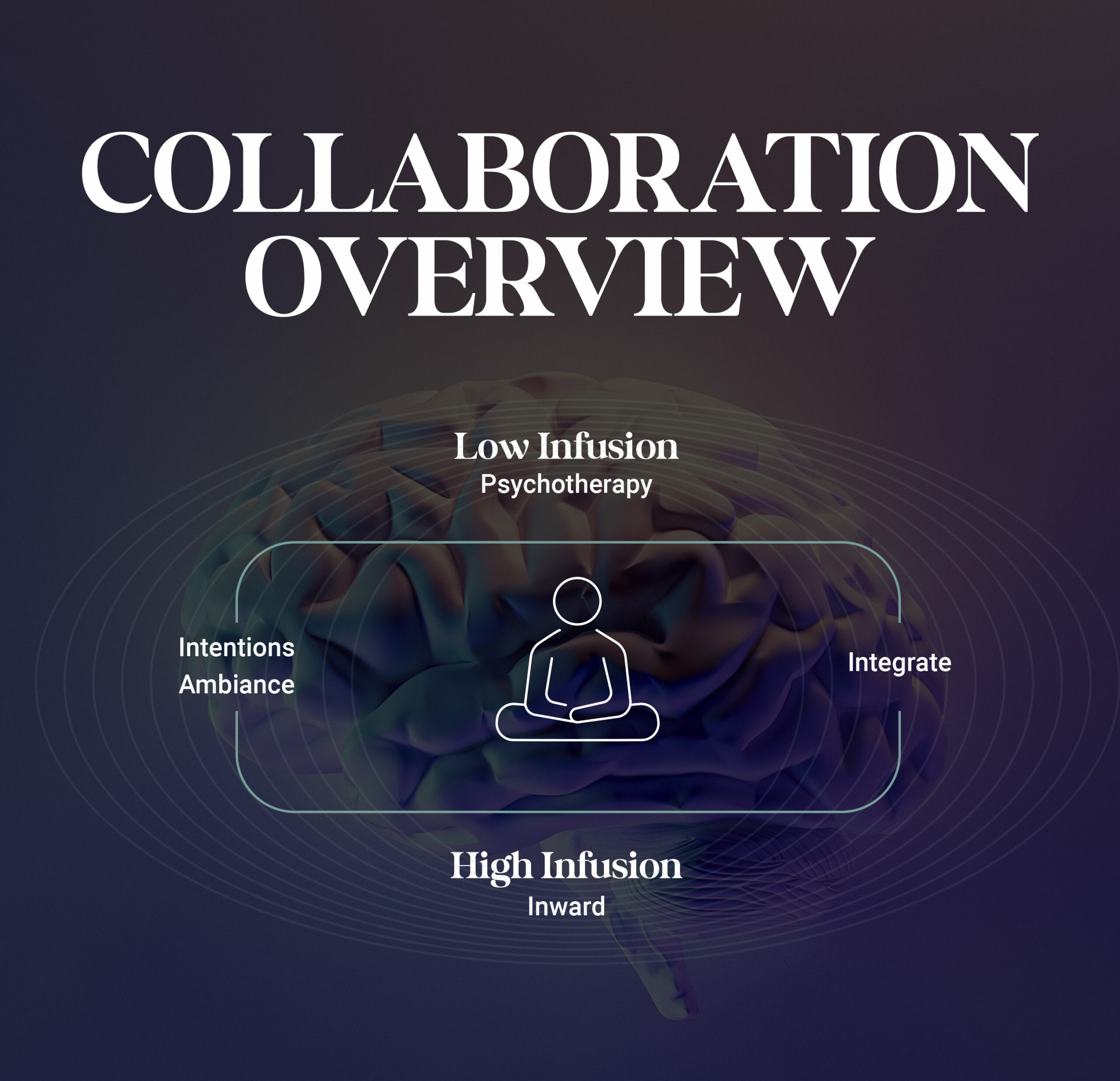 Collaboration and Customization
