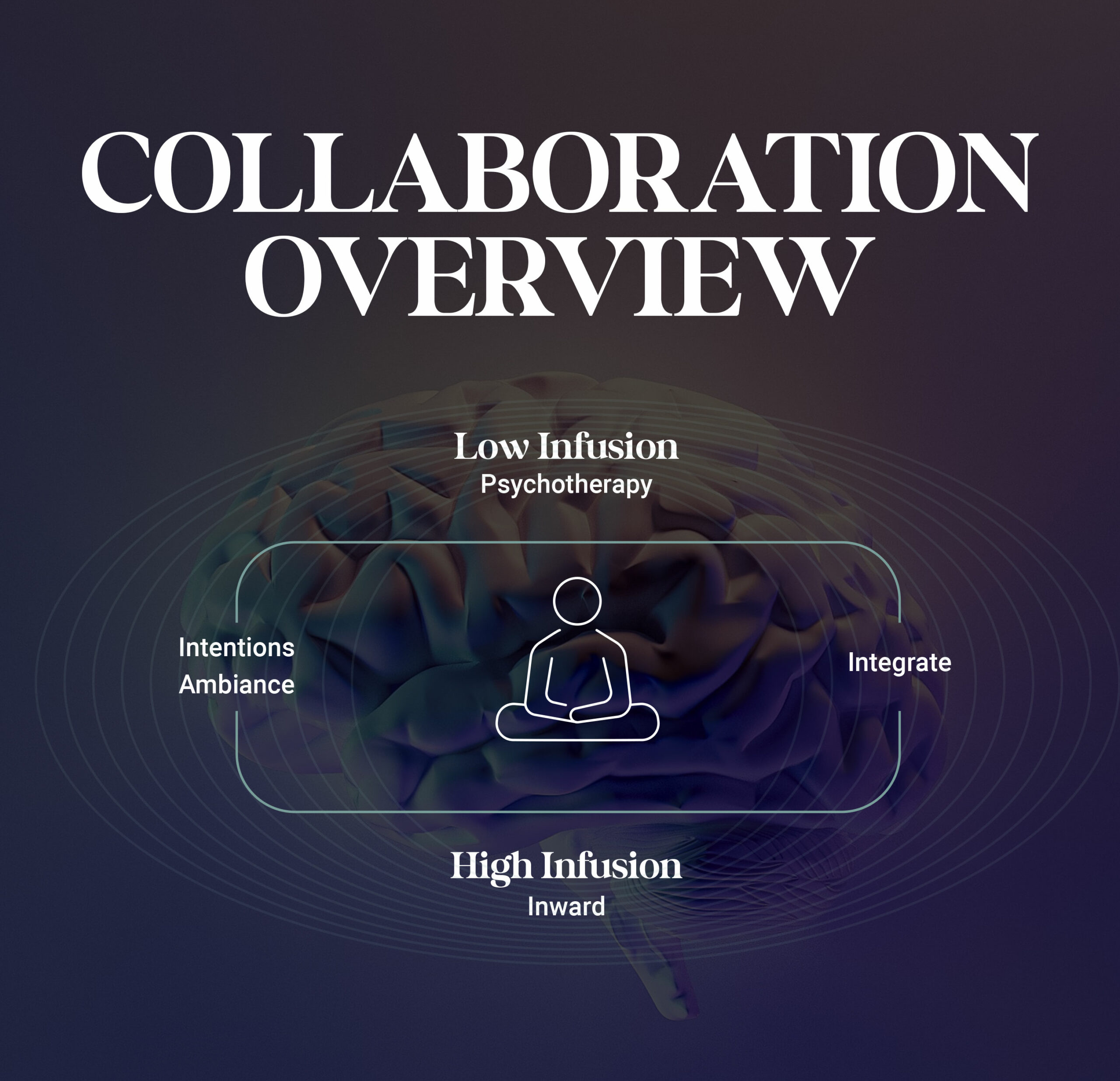 CollaborationOverview Collaboration and Customization